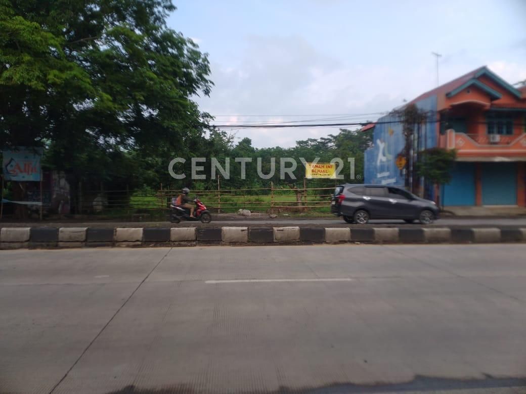 Kavling Tanah Di Jalan Utama Di Sambong, JawaTengah. - BeliRumah