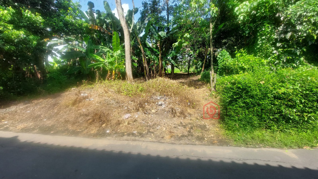 Di jual tanah pekarangan dekat kampus - BeliRumah